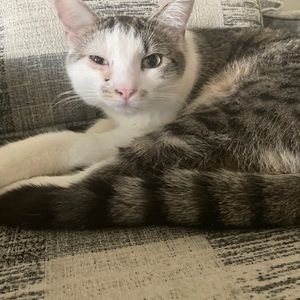 Meet your Posher, Corey